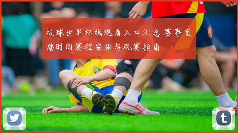 板球世界杯线观看入口汇总 赛事直播时间赛程安排与观赛指南