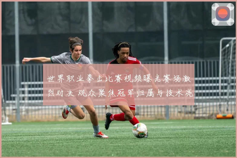 世界职业拳击比赛视频曝光赛场激烈对决 观众聚焦冠军归属与技术亮点