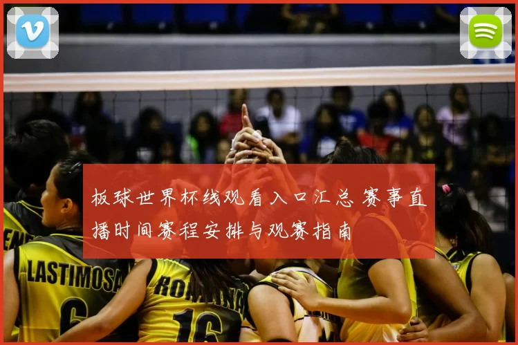 板球世界杯线观看入口汇总 赛事直播时间赛程安排与观赛指南