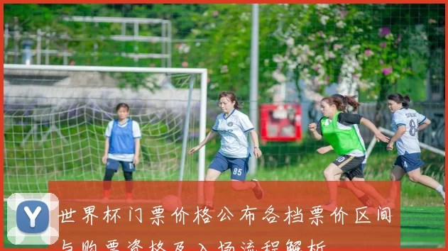 世界杯门票价格公布各档票价区间与购票资格及入场流程解析