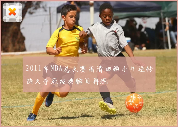 2011年NBA总决赛高清回顾小牛逆转热火夺冠经典瞬间再现